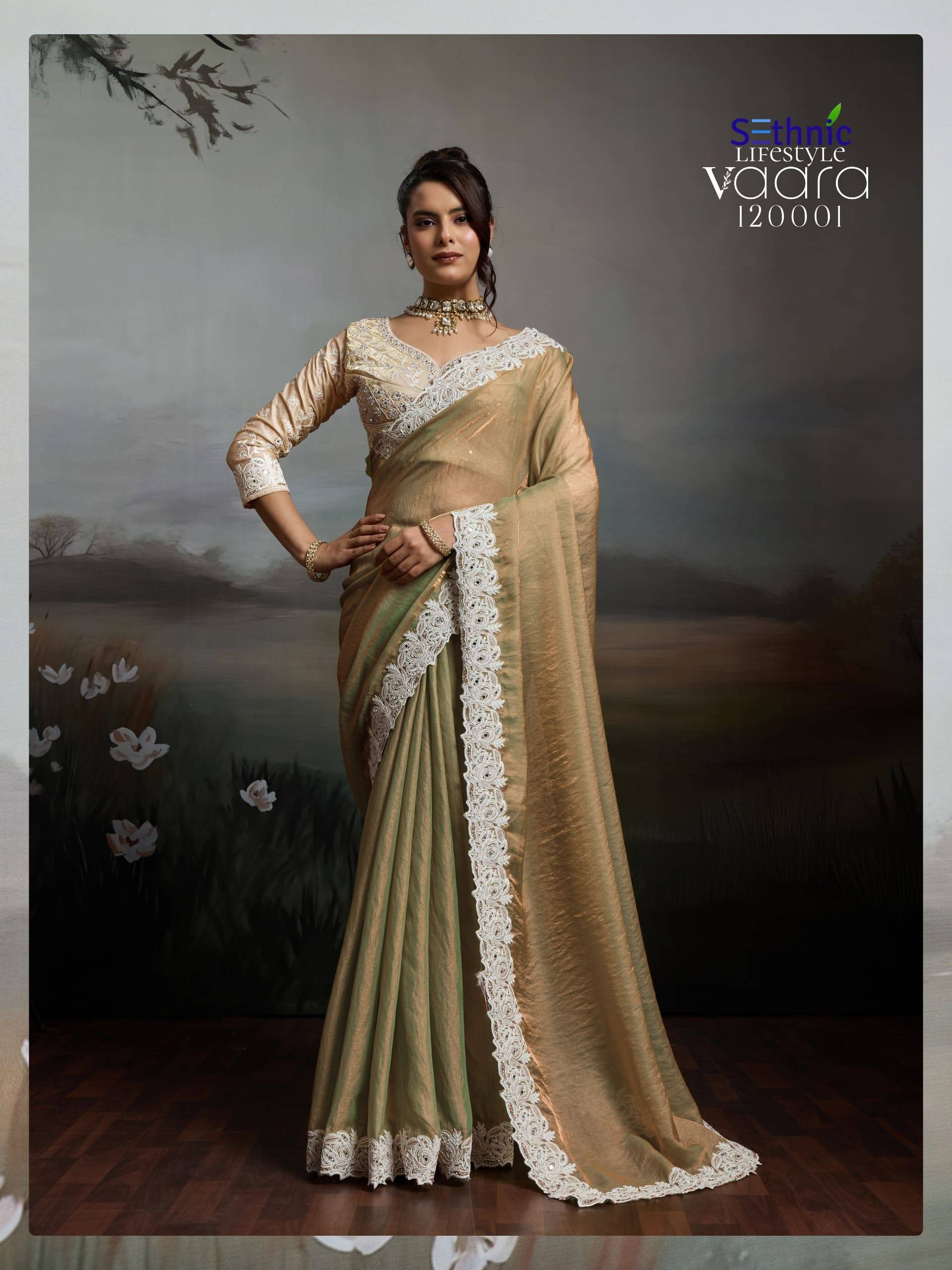 VAARA BY SETHNIC LIFE STYLE 120001 TO 120004 Series Indian Traditional Wear Collection Beautiful Stylish Fancy Colorful Party Wear & Occasional Wear Satin Velvet Sarees At Wholesale Price